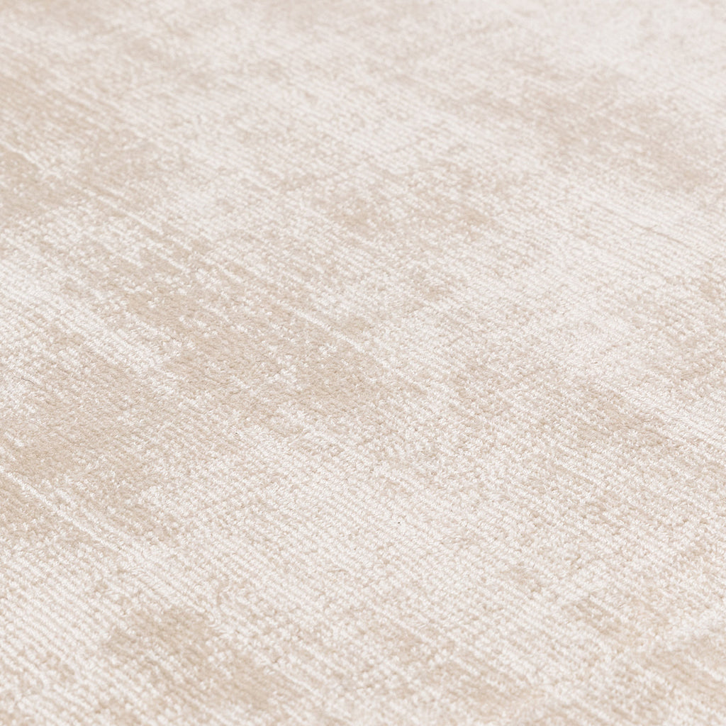 Asiatic Blade Border Putty Silver 07 Rug