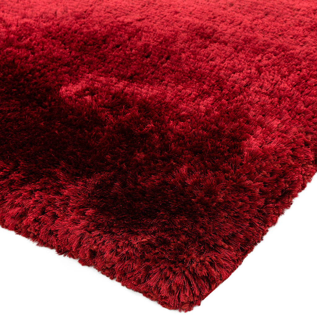 Asiatic Plush Red Rug