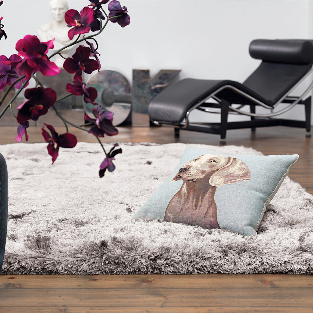 Asiatic Plush Silver Rug