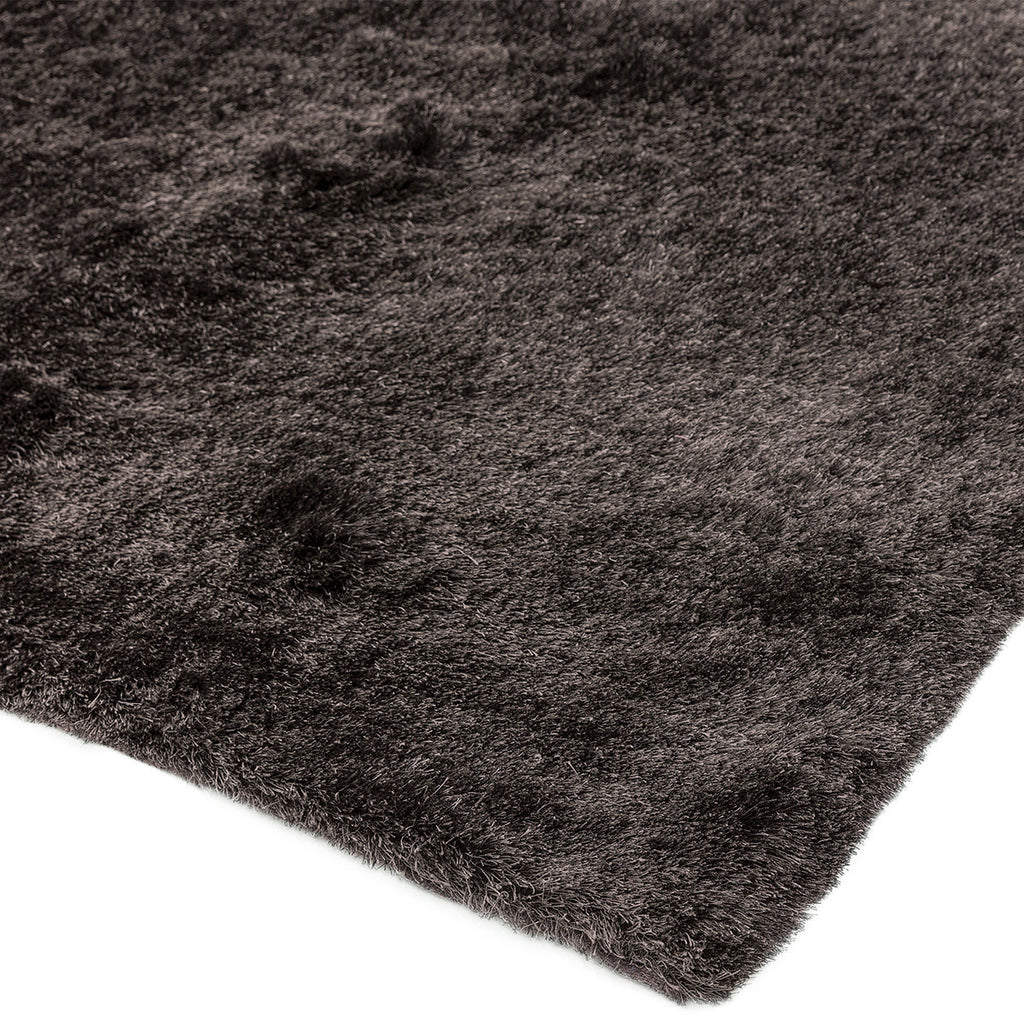 Asiatic Whisper Graphite Rug